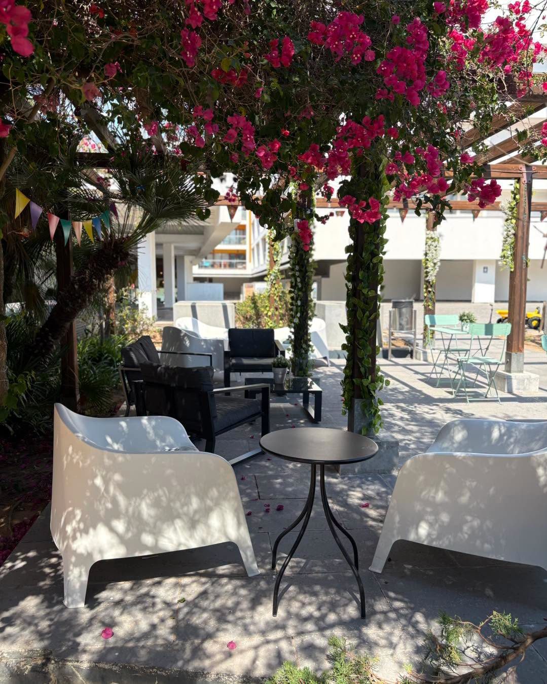 Bougainvillea over the pergola with lounge chairs in the shade